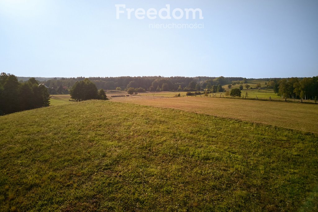 Działka budowlana na sprzedaż Lipowo  38 700m2 Foto 13