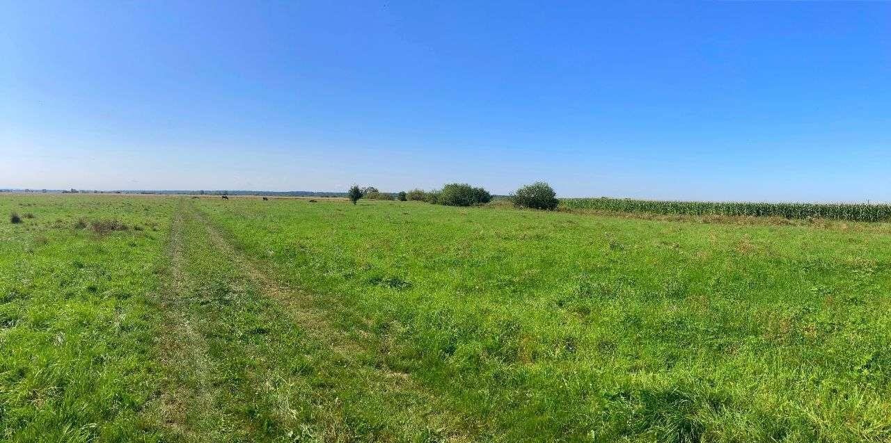 Działka 3200 m² pod rekreację, dostęp do drogi Miechowice Małe  3 200m2 Foto 1