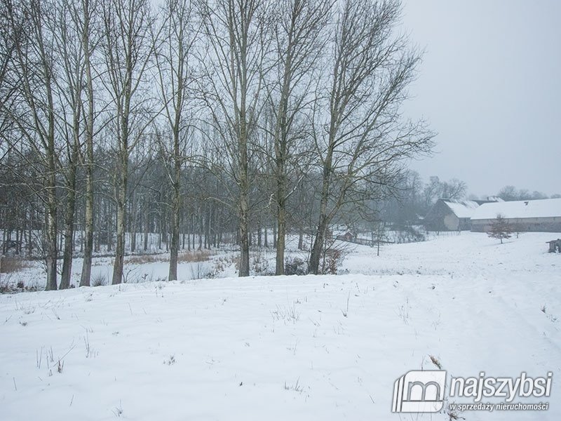 Lokal użytkowy na sprzedaż Storkowo, Centrum  3 670m2 Foto 25