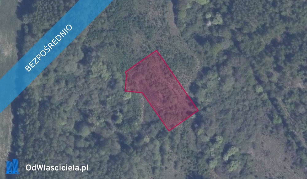 Działka 3001 m² w Pręgowie – bez prowizji, przetarg Pręgowo  3 001m2 Foto 1