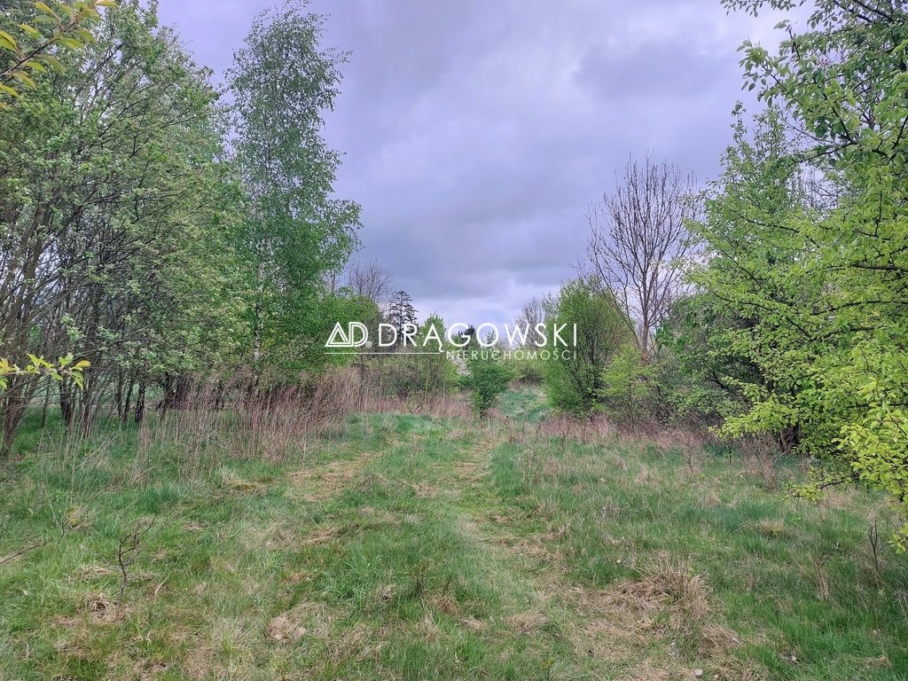 Działka rolna 2,4 ha z lasami i sadami w Lindowie Lindów  24 000m2 Foto 1