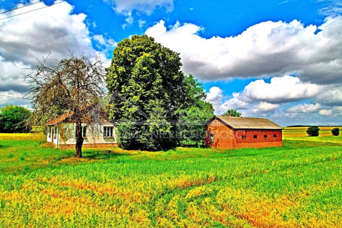 Działka budowlana na sprzedaż Józwów, Józwów  3 000m2 Foto 2