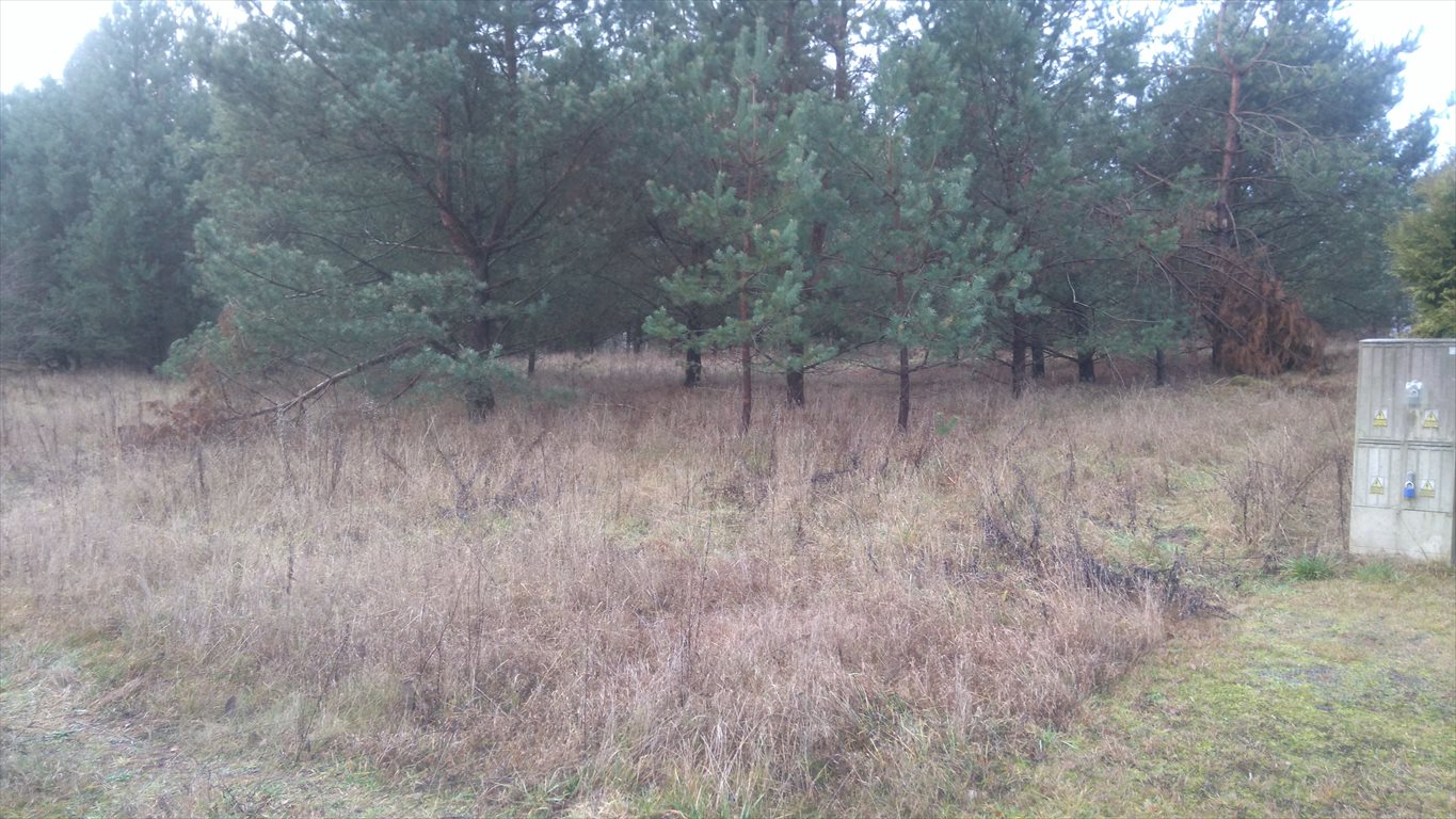 Działka rekreacyjna 598 m² z lasem i jeziorem - polecam Zdbice  598m2 Foto 1