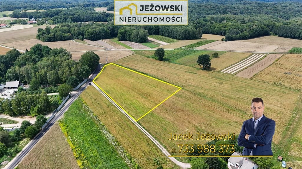 Działka rolna na sprzedaż Wierzchoniów  4 400m2 Foto 6