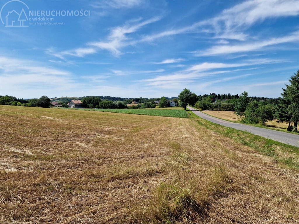 Działka budowlana na sprzedaż Turza  2 400m2 Foto 8