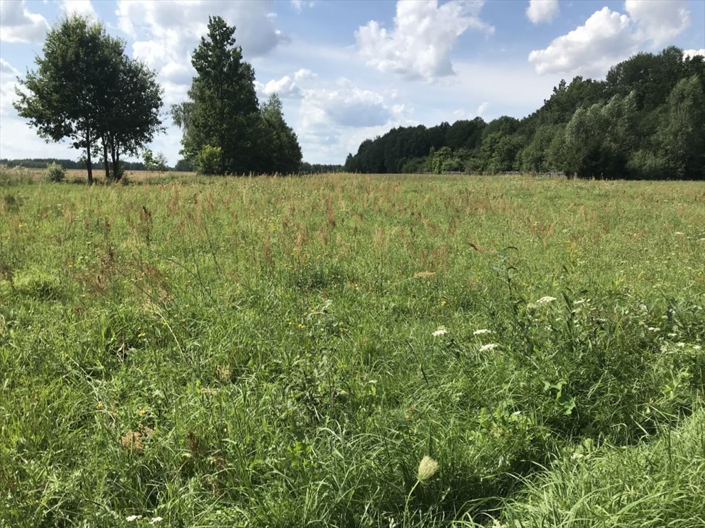 Działka gospodarstwo rolne na sprzedaż Pasynki  3 500m2 Foto 1