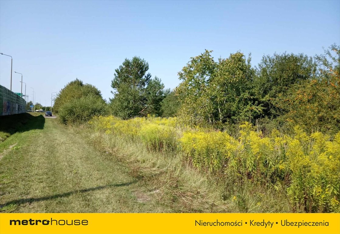 Działka rolna na sprzedaż Biała Podlaska, Terebelska  2 600m2 Foto 6