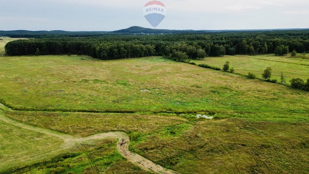 Działka inna na sprzedaż Smołdziński Las  81 864m2 Foto 4