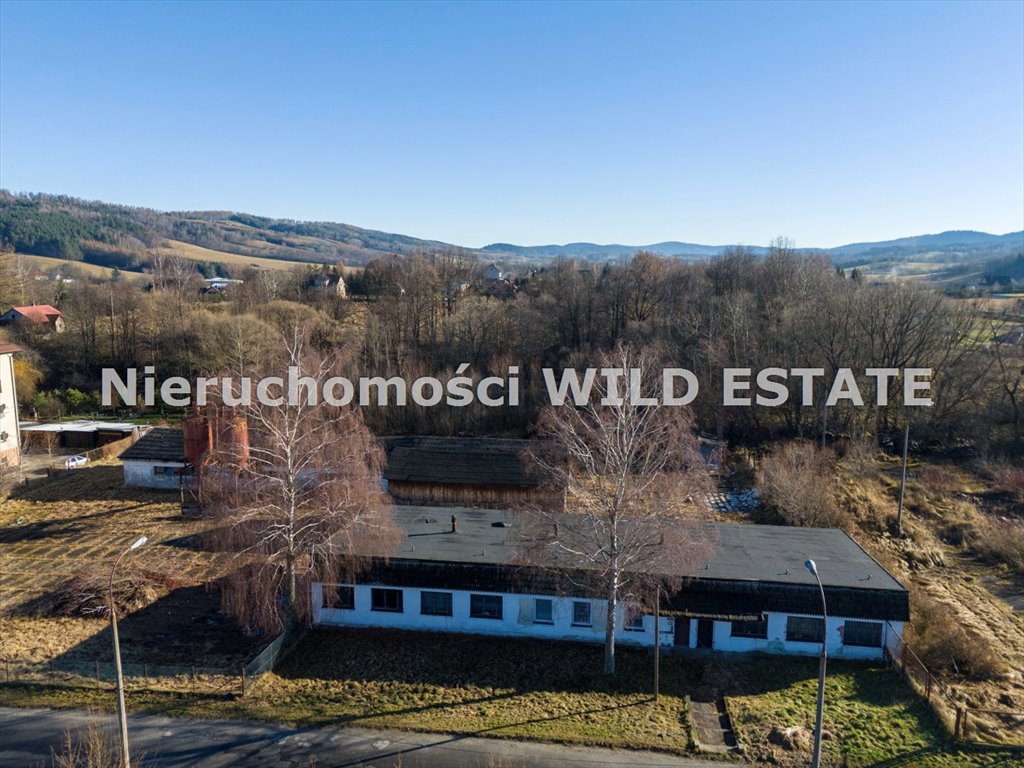 Lokal użytkowy na sprzedaż Ustrzyki Dolne, Ustrzyki Dolne  1 089m2 Foto 9