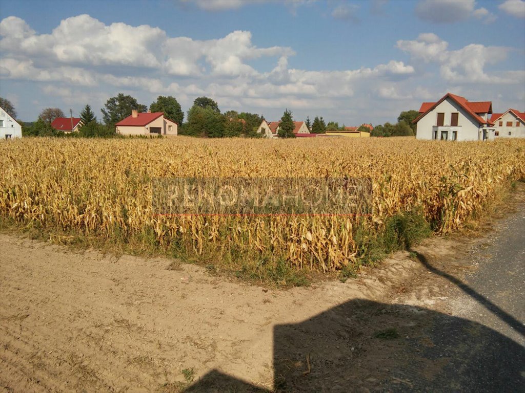 Działka budowlana na sprzedaż Dębice  1 117m2 Foto 7