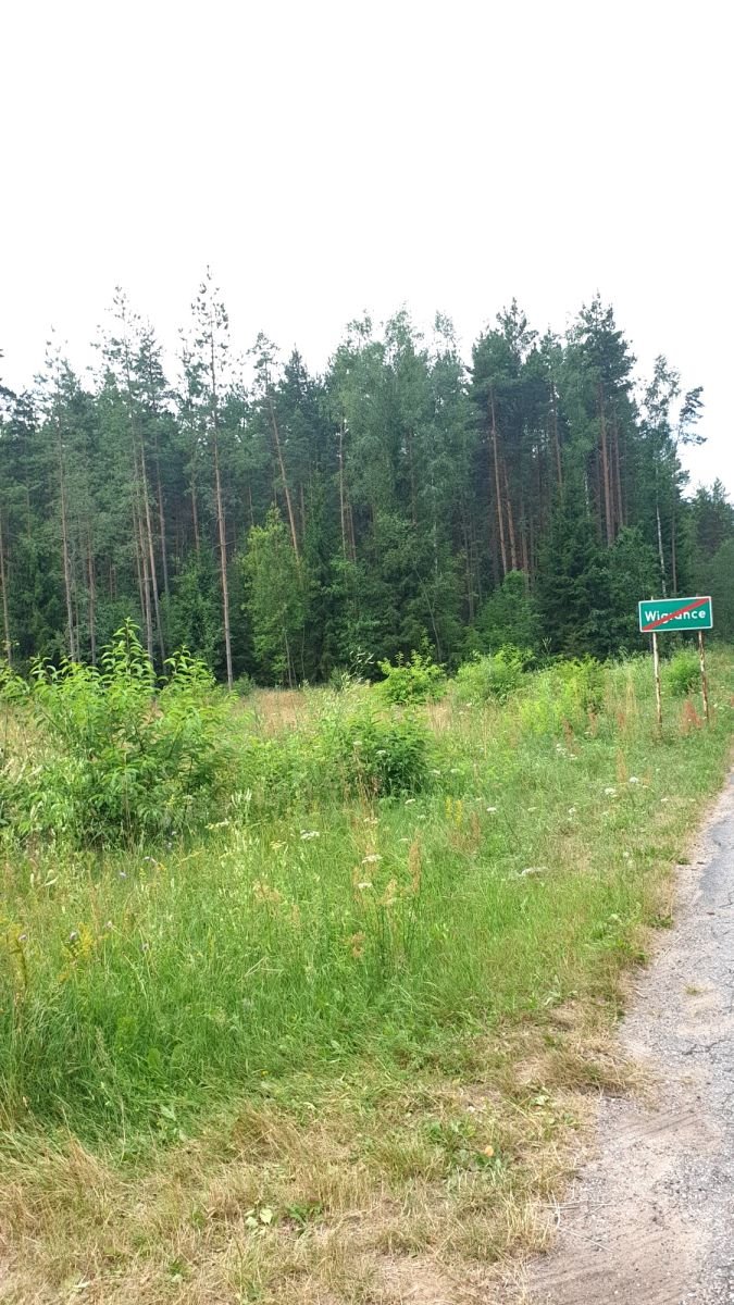 Działka gospodarstwo rolne na sprzedaż Wigrańce  3 000m2 Foto 5