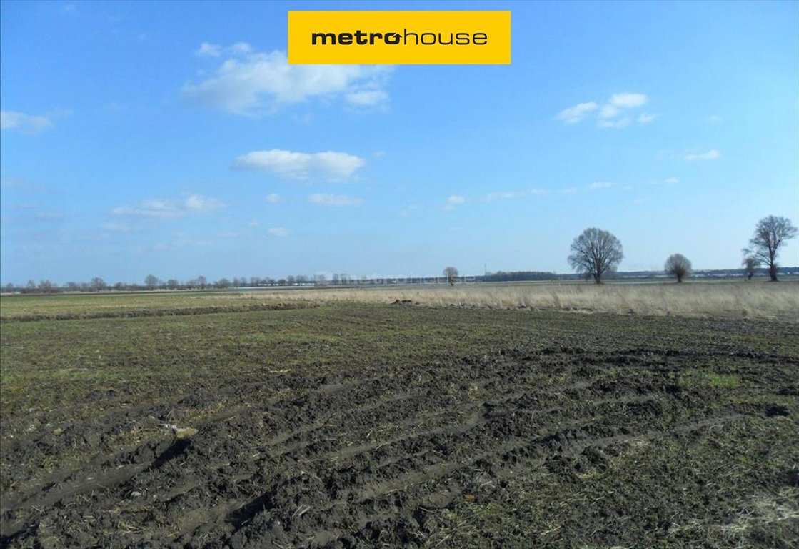 Działka budowlana blisko jeziora, 1195 m2, media, WZ Dymaczewo Nowe  1 195m2 Foto 1