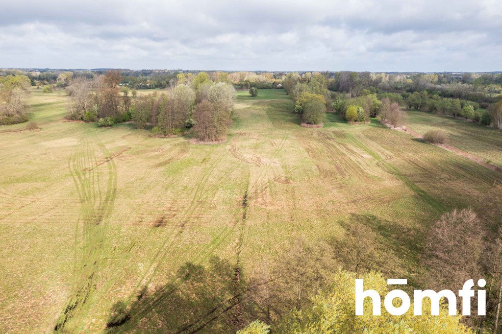 Działka budowlana na sprzedaż Wilków Polski  1 219m2 Foto 17