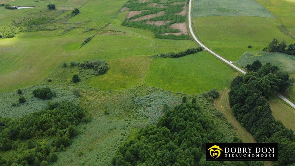 Działka rolna na sprzedaż Stankuny  4 700m2 Foto 17