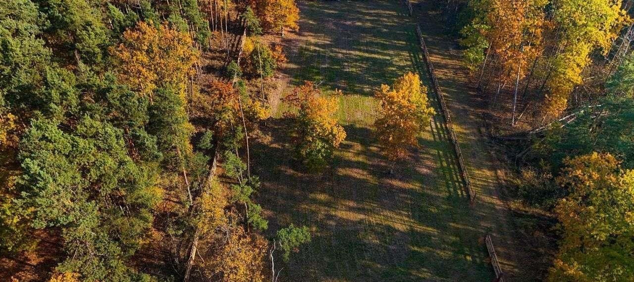 Działka budowlana na sprzedaż Ostrołęka  1 500m2 Foto 7