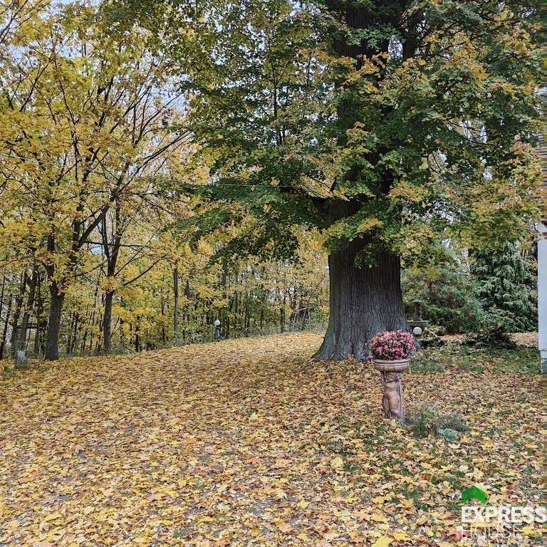 Dom na sprzedaż Górki Małe  460m2 Foto 7