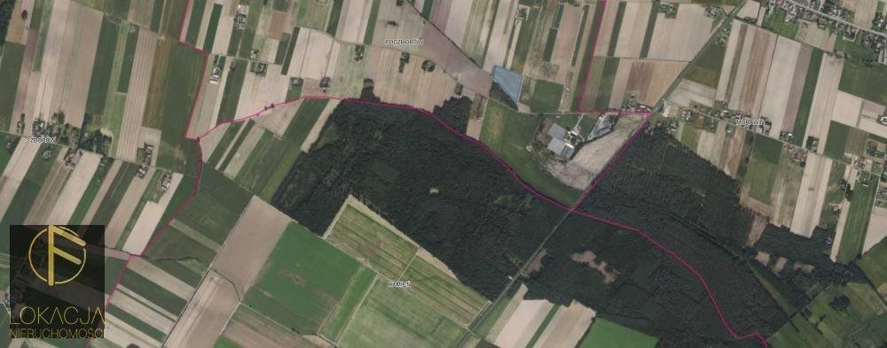 Działka inwestycyjna 10 000 m² z dostępem do drogi wojewódzkiej Kalisz  10 000m2 Foto 1