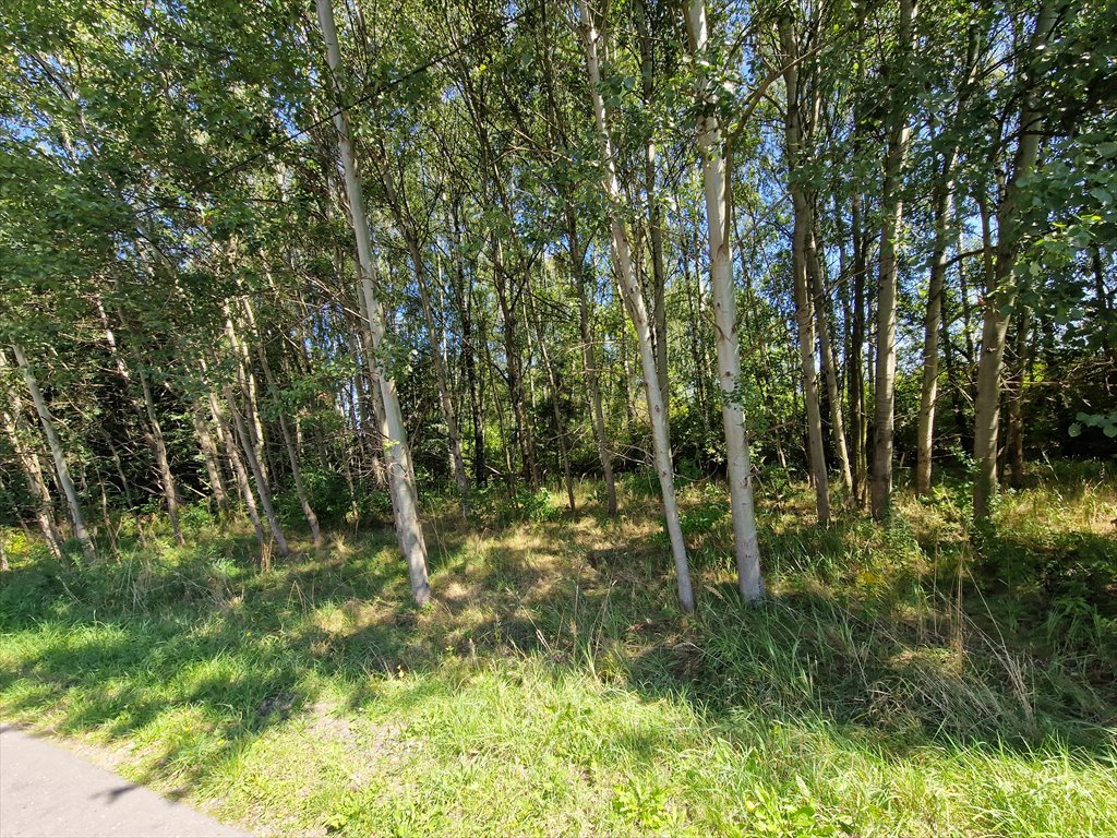 Na sprzedaż działka 1126 m² z szerokimi możliwościami rozwoju Orzesze, Zgoń, Akacjowa  1 126m2 Foto 1