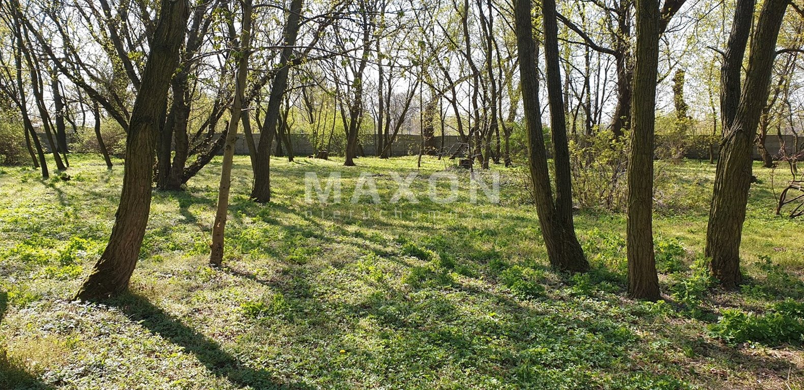 Działka budowlana na sprzedaż Borzęcin Duży  20 000m2 Foto 13