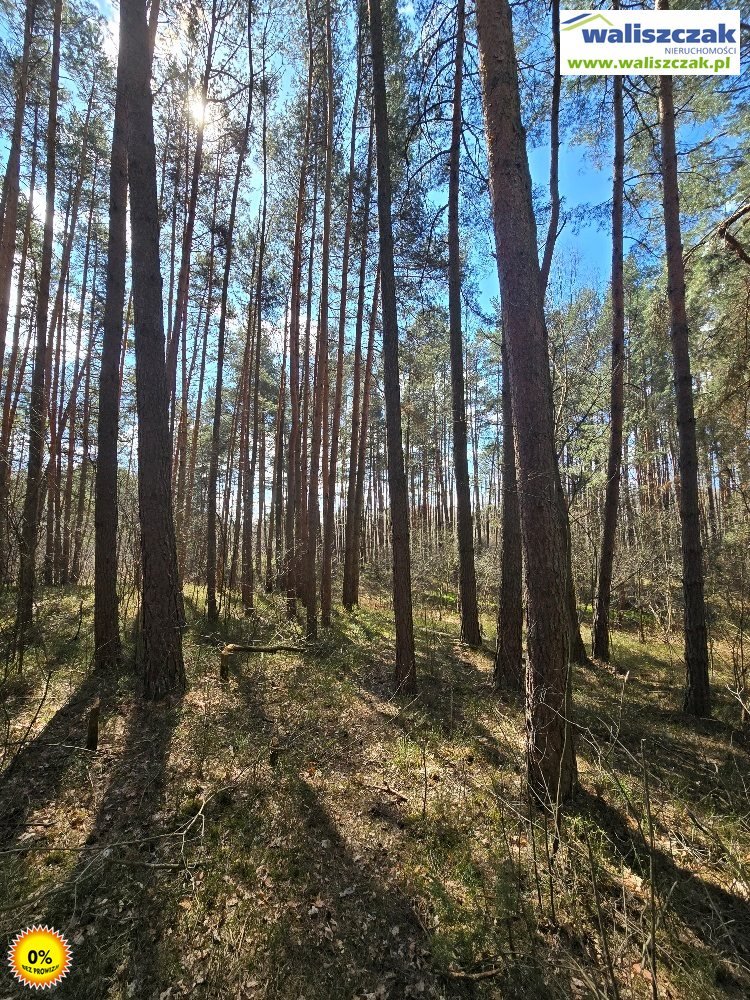 Działka rolna na sprzedaż Stobnica-Piła  1 700m2 Foto 1
