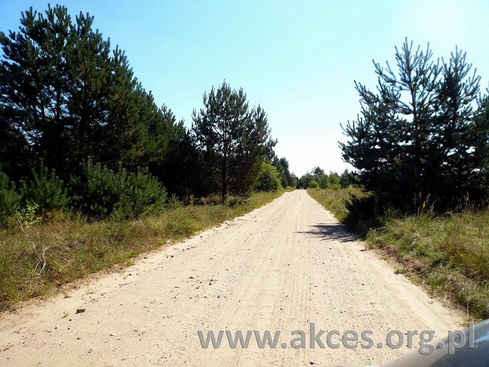 Działka inna na sprzedaż Bartoszówka  43 000m2 Foto 1