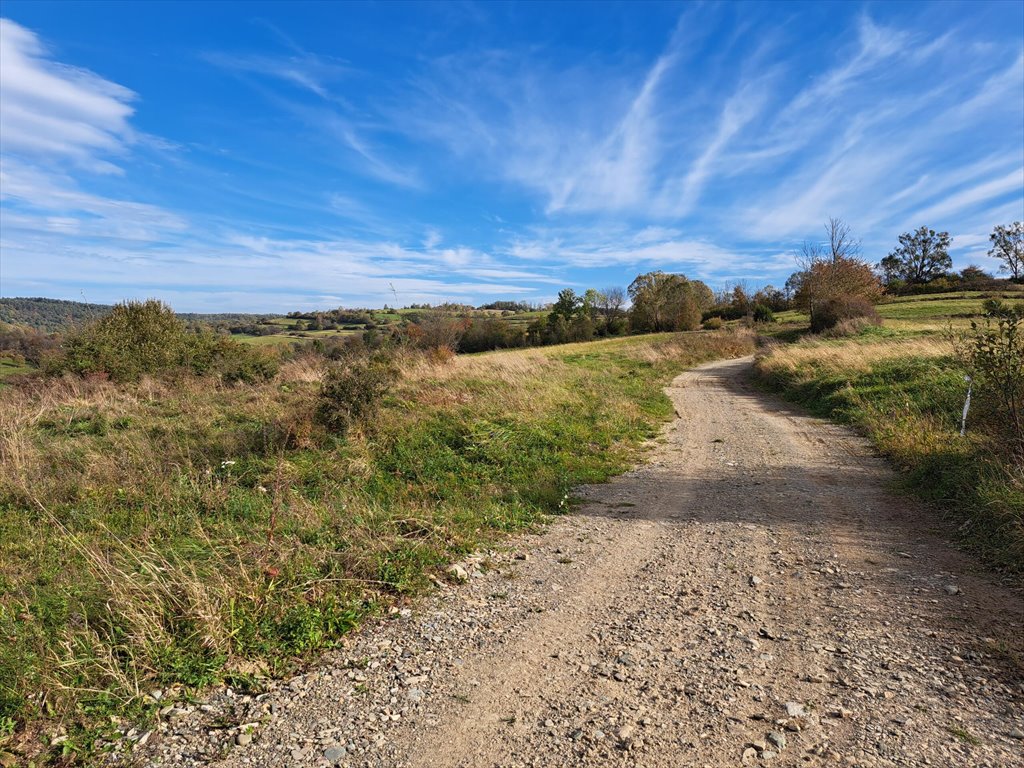 Działka rolna na sprzedaż Posada Jaśliska  9 900m2 Foto 9