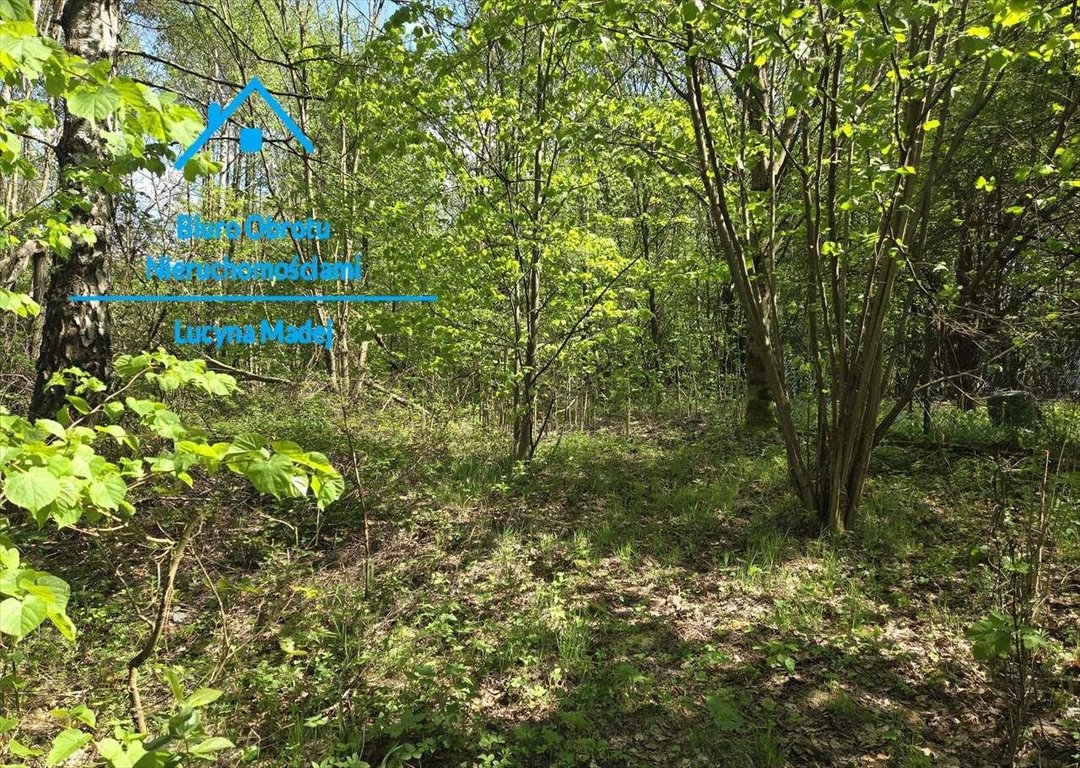 Zapraszam do zakupu działki 31 ar w Wysokiej z mediami i dużym potencjałem Wysoka  3 100m2 Foto 1