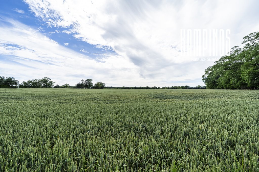 Działka rolna z warunkami zabudowy i planem rozwoju polecam Prusy  1 541m2 Foto 1