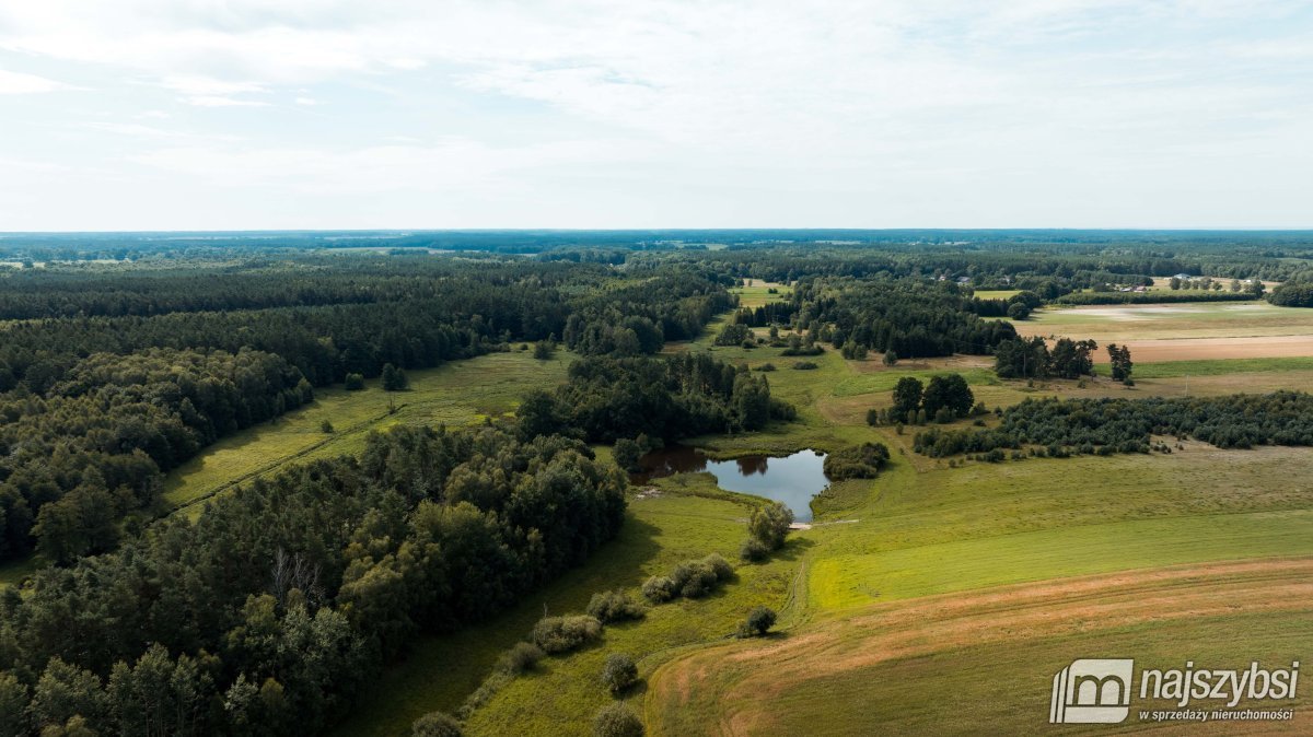 Działka rolna na sprzedaż Czermnica  17 100m2 Foto 6