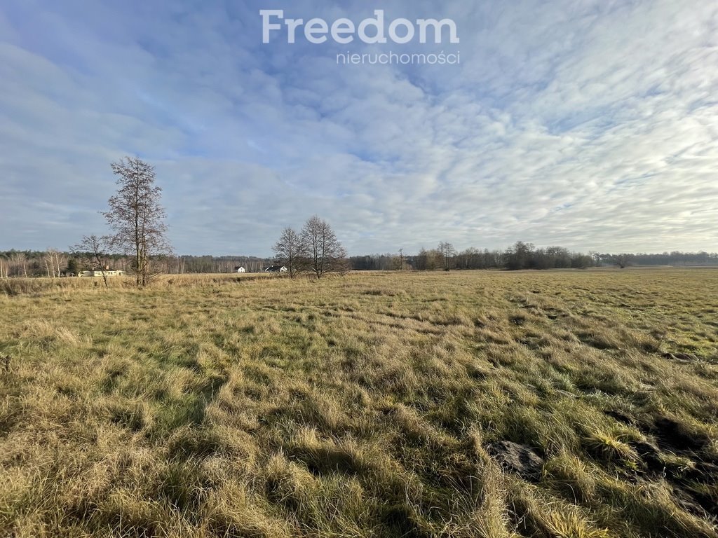 Działka budowlana na sprzedaż Różankowo  3 502m2 Foto 2