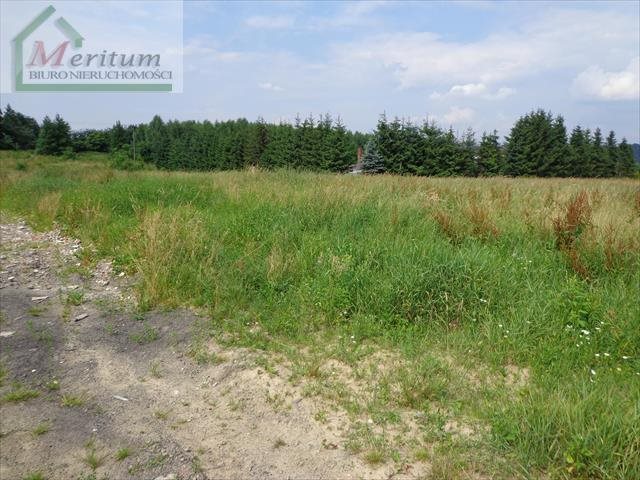 Działka budowlana na sprzedaż Nowy Sącz 1 000m2 Foto 1 Działka budowlana na sprzedaż Nowy Sącz 1 000m2 Foto 1
