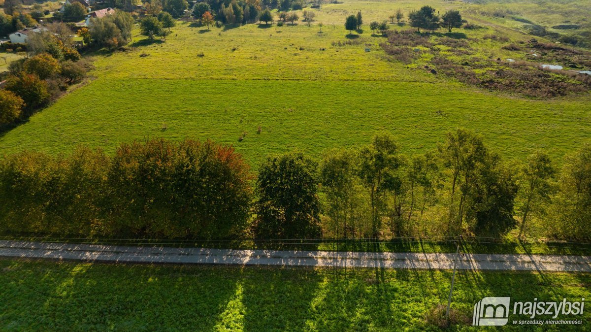 Działka rolna na sprzedaż Sarbia  6 500m2 Foto 10