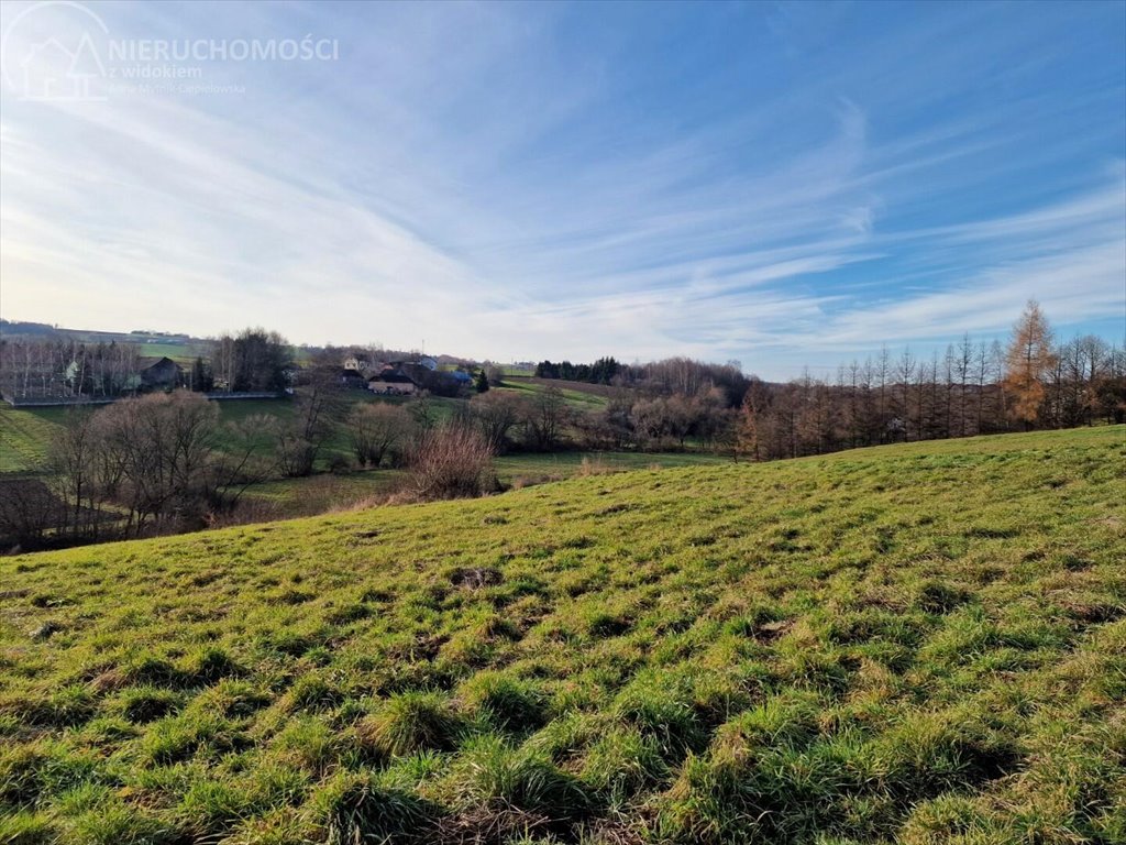 Działka budowlana na sprzedaż Sitnica  10 602m2 Foto 3