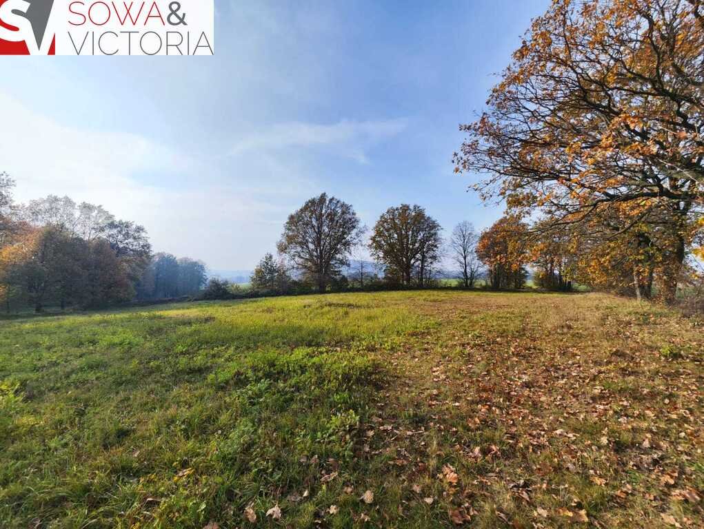 Działka inna na sprzedaż Górczyca  1 700m2 Foto 5