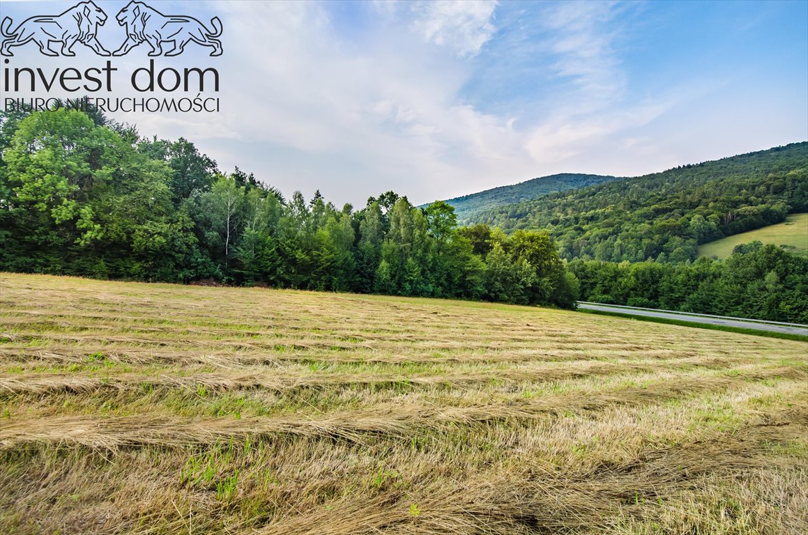 Działka budowlana na sprzedaż Małastów  24 800m2 Foto 4