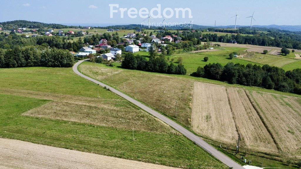 Działka budowlana na sprzedaż Kobylany  4 000m2 Foto 5