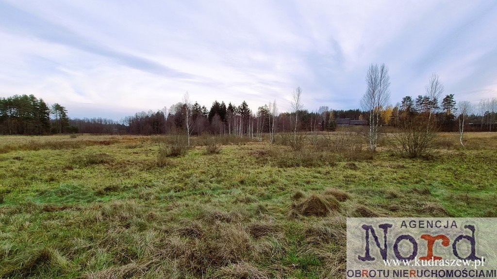 Działka 2,06 ha z pozwoleniem na budowę i dostępem do mediów Gorczyca  20 570m2 Foto 1