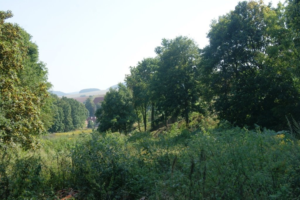 Działka inna na sprzedaż Stare Bogaczowice  1 000m2 Foto 19