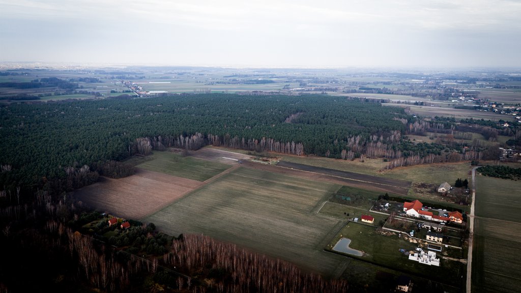 Działka rolna na sprzedaż Kotowice  3 400m2 Foto 11