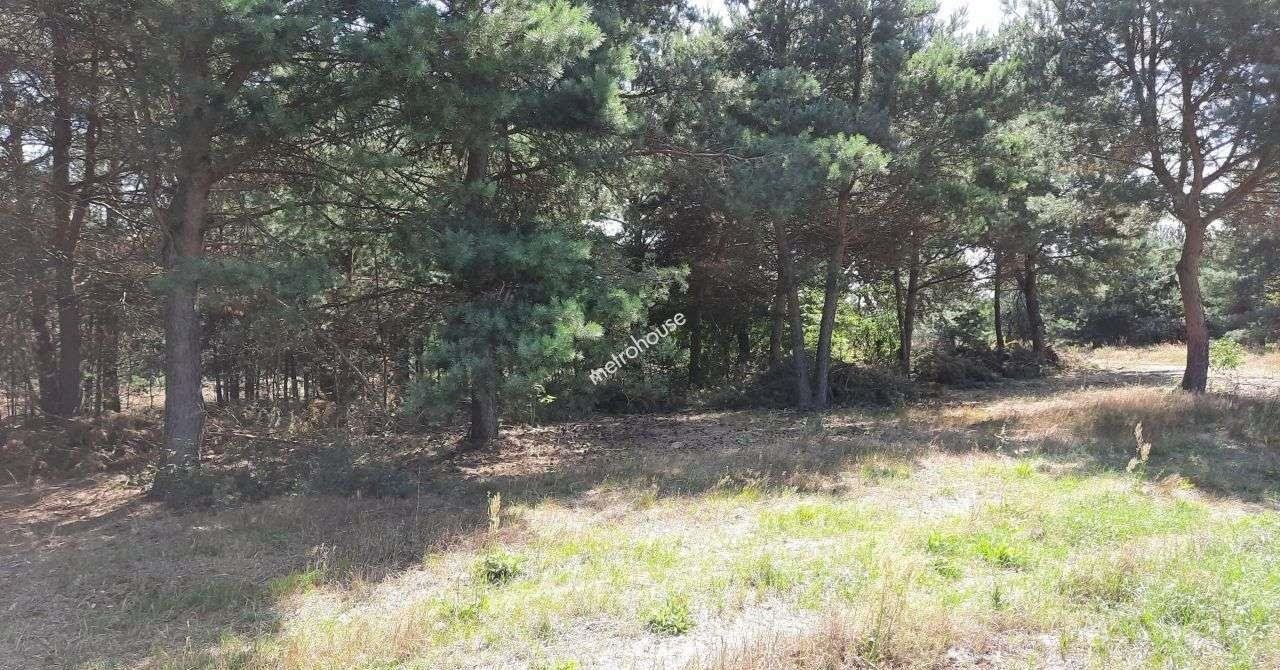 Działka budowlana na sprzedaż Adamów-Wieś  1 501m2 Foto 4