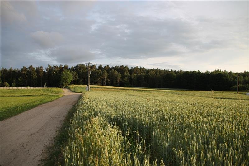 Działka inna na sprzedaż Ustarbowo, Leśna  10 784m2 Foto 4