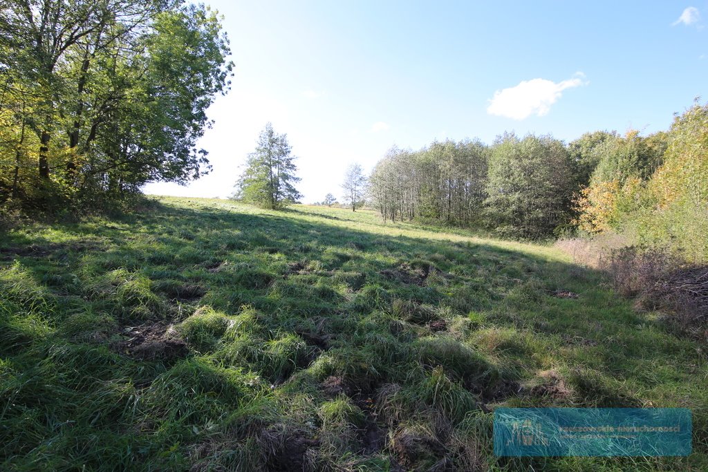 Działka budowlana na sprzedaż Hucisko Jawornickie  7 700m2 Foto 7