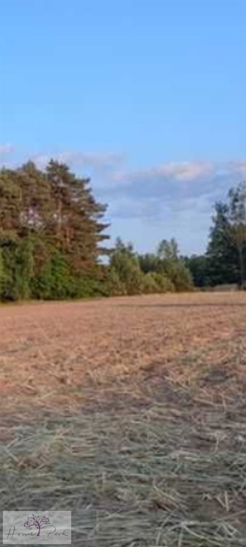 Działka budowlana na sprzedaż Huta Bardzyńska  1 200m2 Foto 2