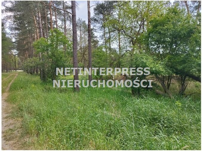 Działka na sprzedaż w Drawinach 71 795 m2 – idealna inwestycja Drezdenko, Drawiny  71 795m2 Foto 1