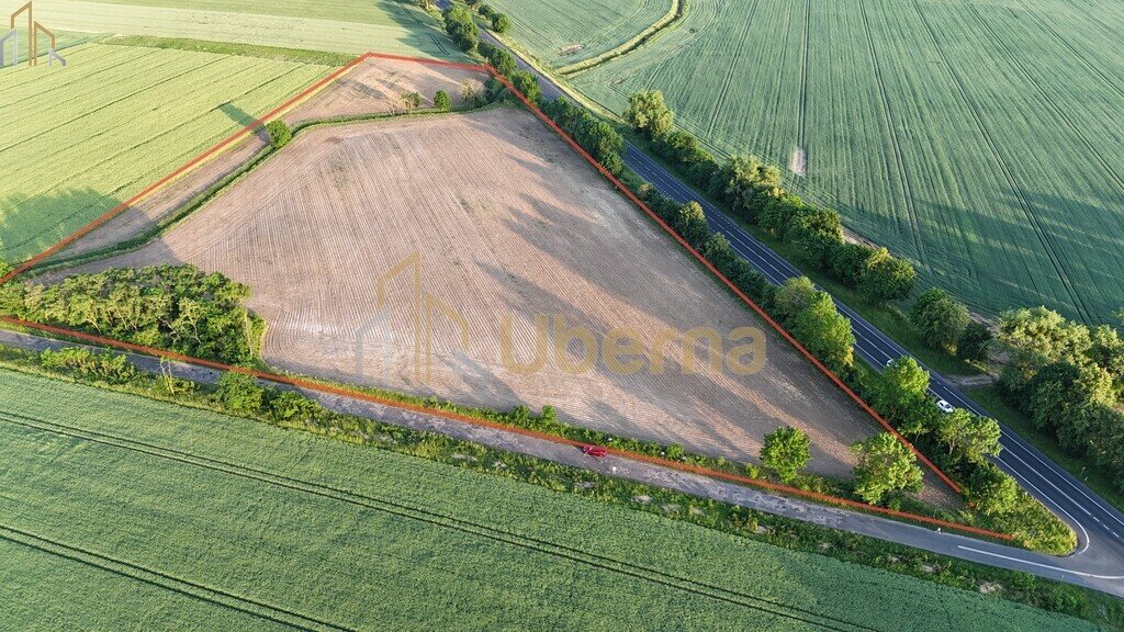 Działka inwestycyjna 40 917 m² z MPZP, blisko autostrady - polecam! Ryszewko  40 917m2 Foto 1