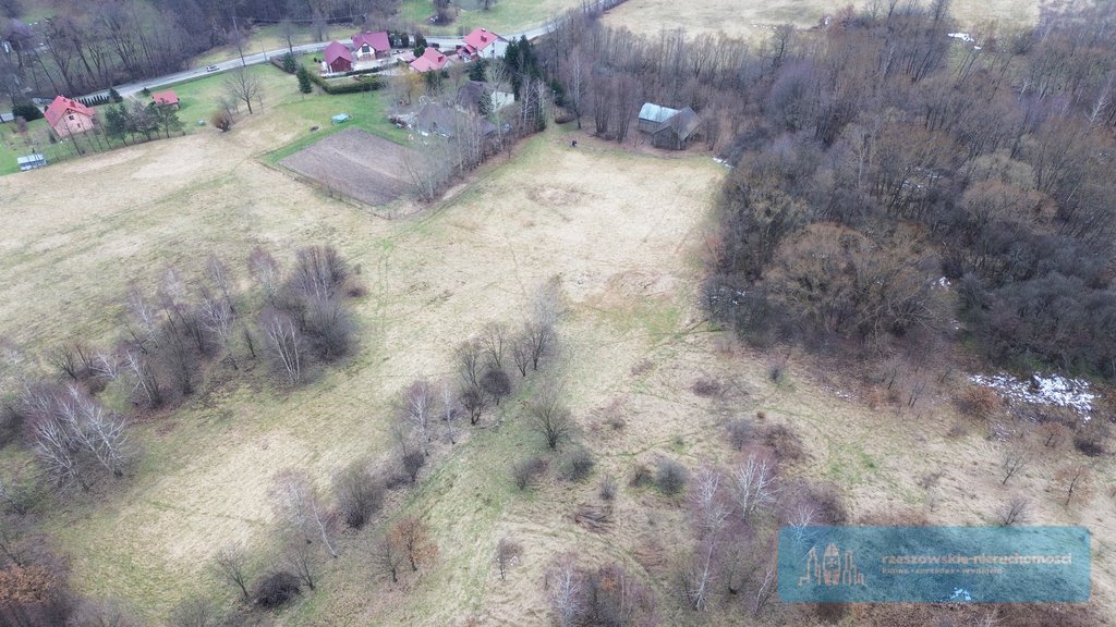 Działka budowlana na sprzedaż Chmielnik  12 100m2 Foto 2