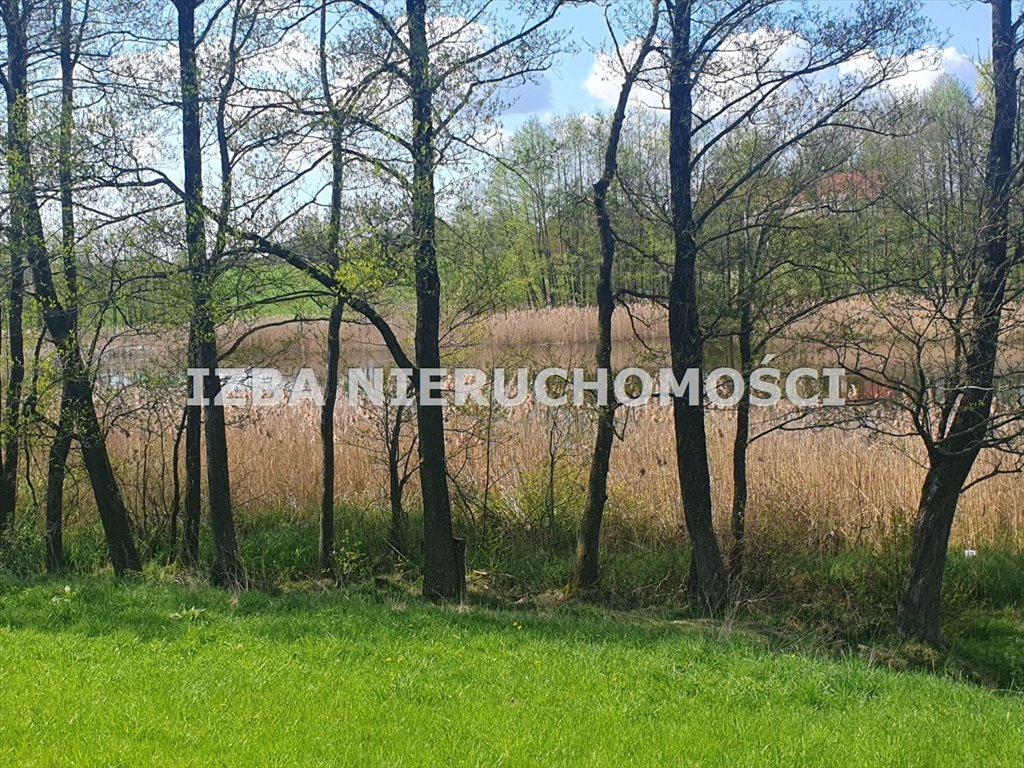 Działka rekreacyjna na sprzedaż Grabnik  3 000m2 Foto 11