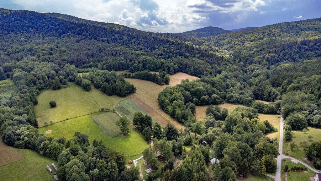 Działka leśna na sprzedaż Jaworze  48 013m2 Foto 4