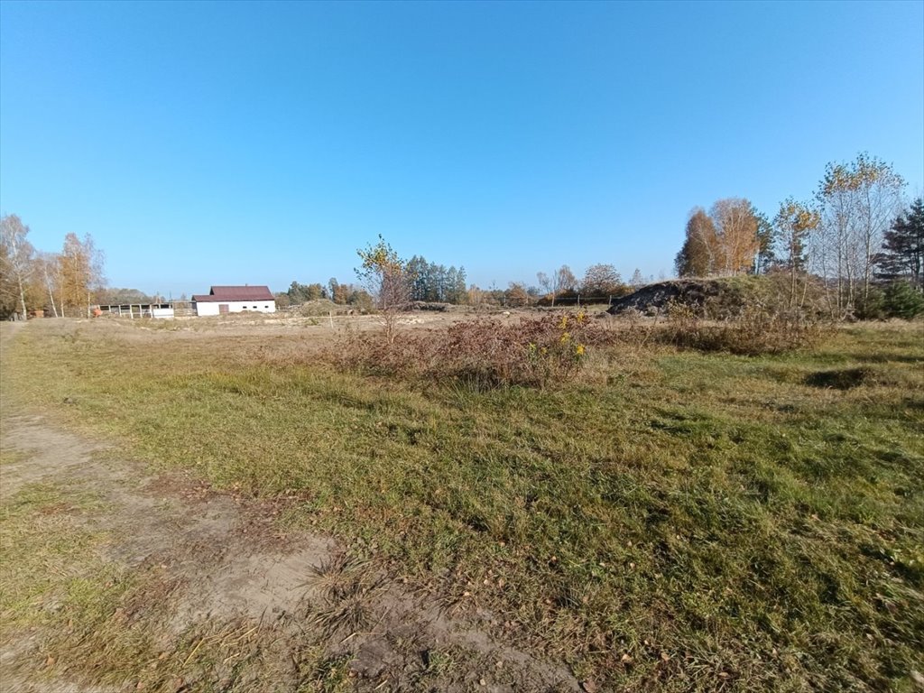 Działka inna na sprzedaż Włoszczowa, Dąbie  1 500m2 Foto 5