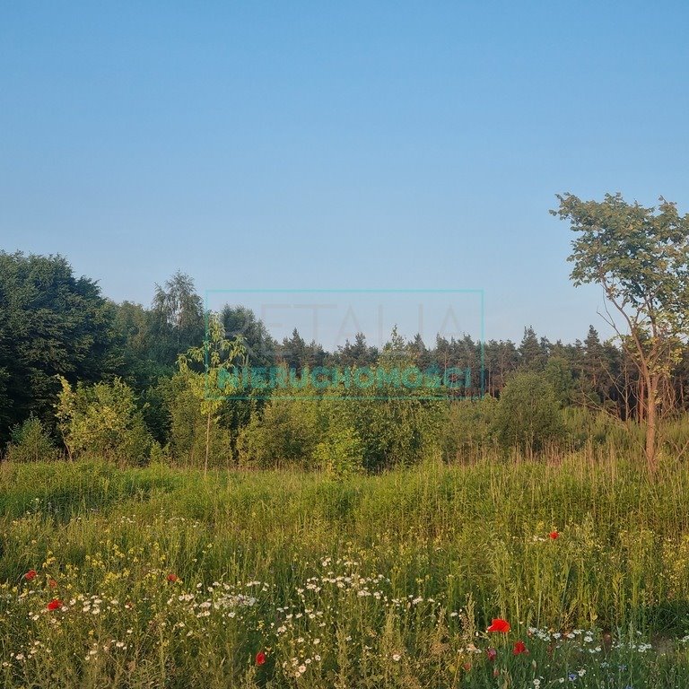 Działka komercyjna na sprzedaż Mieszkowo  10 000m2 Foto 3